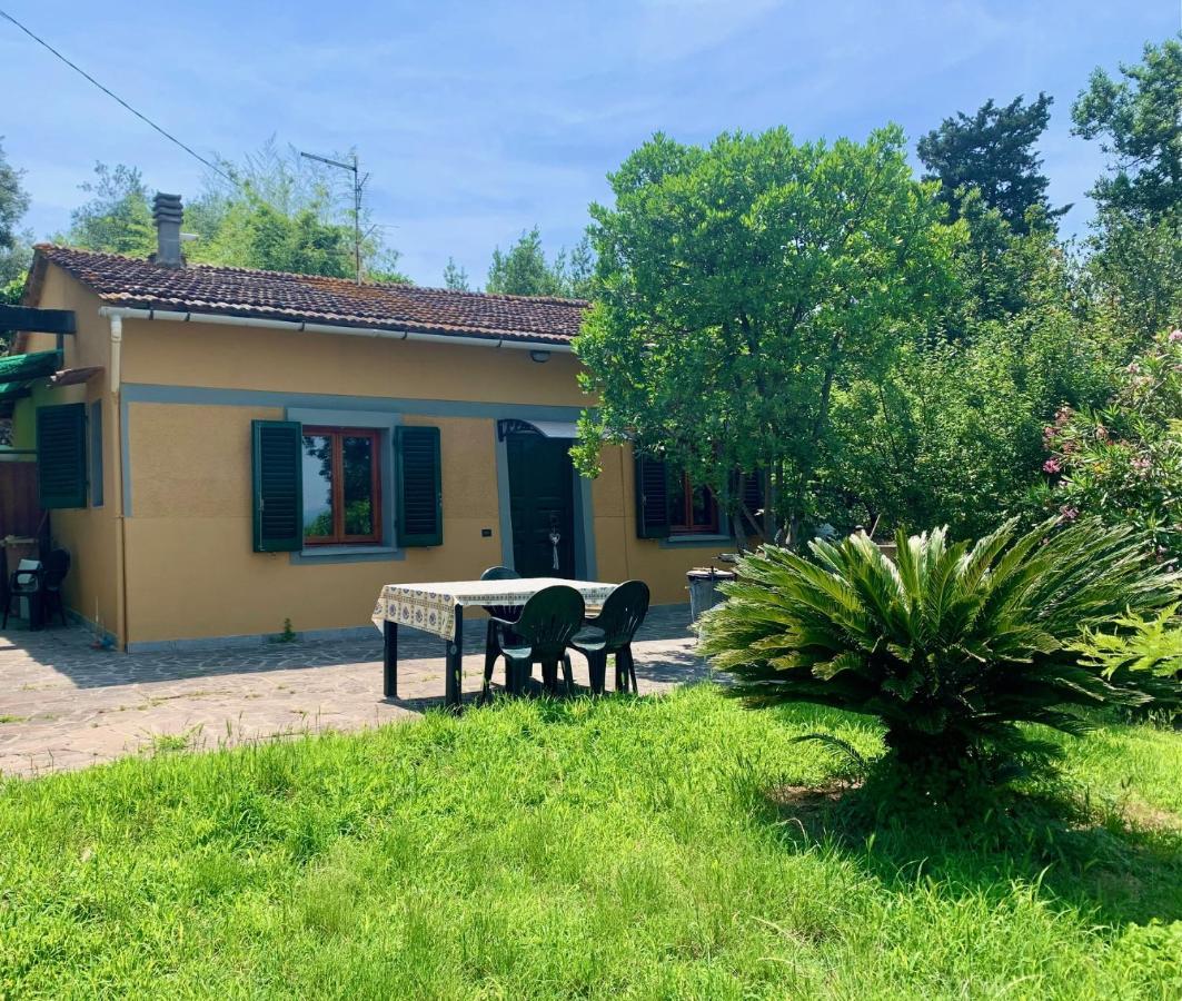 Villa Villino Dragonfly Lastra a Signa Esterno foto
